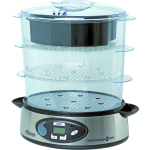 Steamer silver